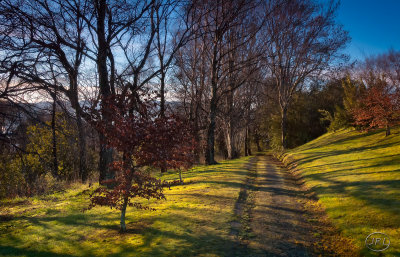 Down the narrow lanes.