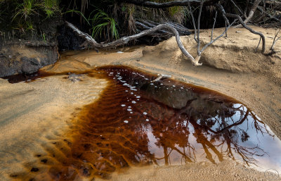 Rakiura colours.