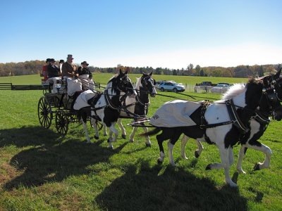 IMG_1380.jpg