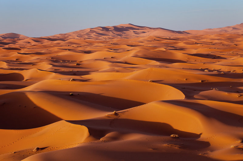 Merzouga Dunes