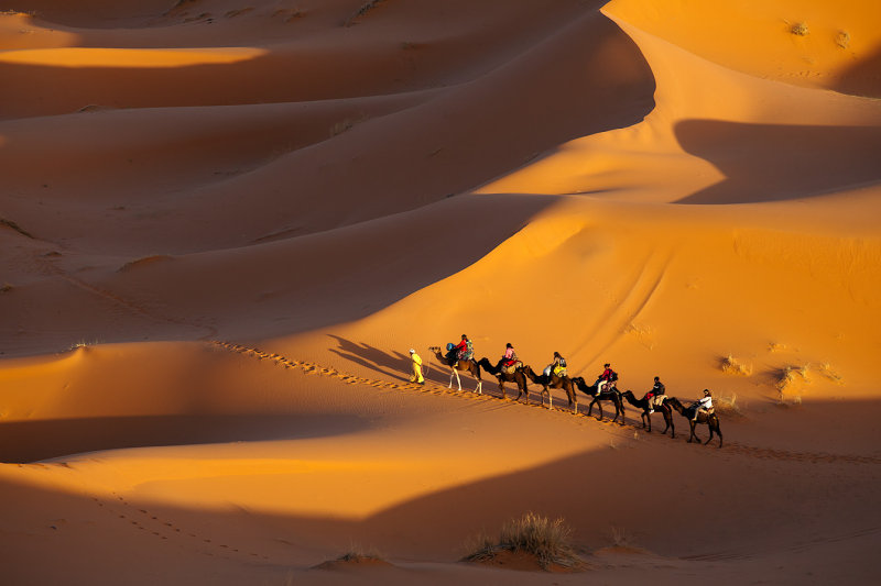 Merzouga Dunes