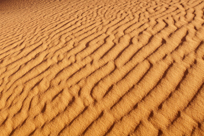 Desert Texture