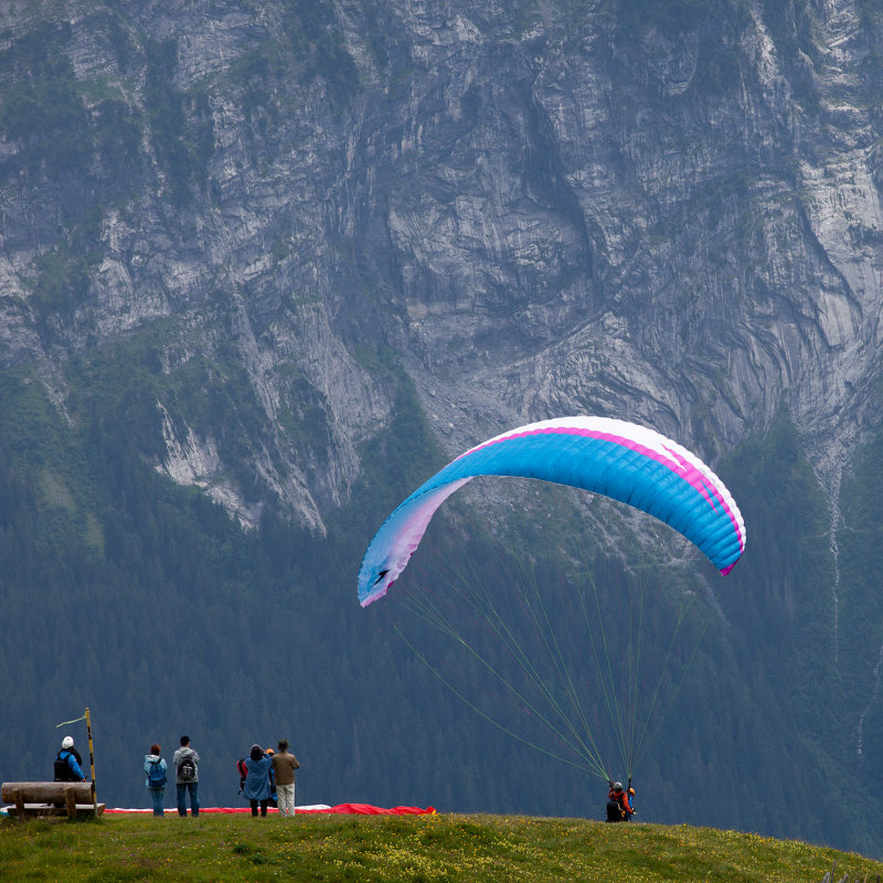 Paragliders in First