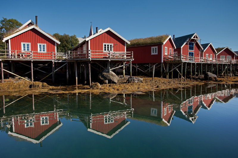 Rorbus and Reflections