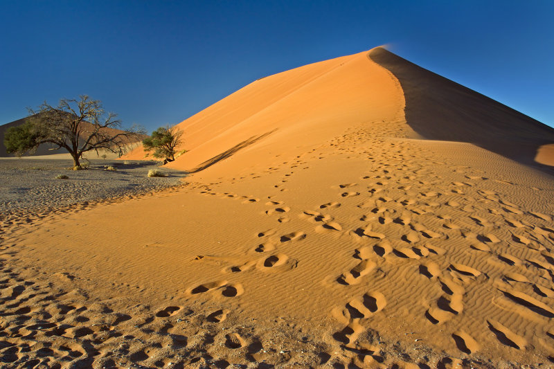 Sunrise and Footprints on Dune 45