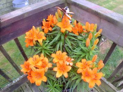 g9/15/700515/3/156734209.6tPs9GKB.jpg