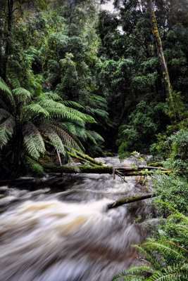 Tasmania Wild Rivers National Park