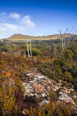 Hartz NP, Tasmania