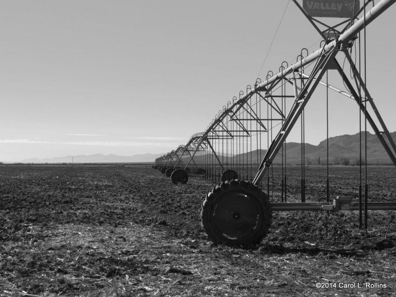 Farming Community