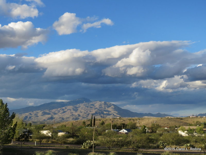 Rincon Mountains     IMG_0013