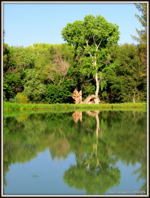 IMG_6749 Wildlife Pond