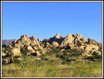 Texas Canyon
