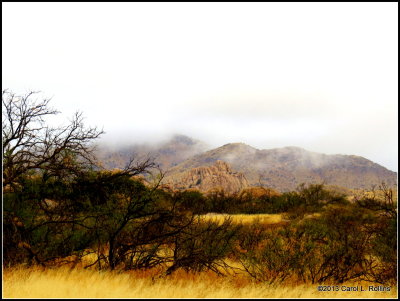 Fog