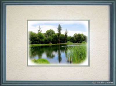 The Wildlife Pond     IMG_0850