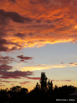 Sunset IMG_1553