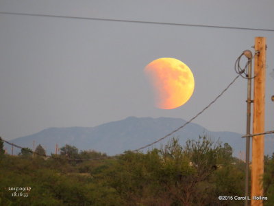 Full Moon/Blood Moon/Partial Eclipse    4439