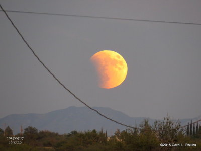 Full Moon/Blood Moon/Partial Eclipse     4442