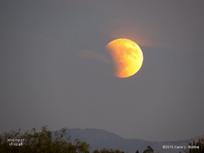 Full Moon/Blood Moon/Partial Eclipse      4447