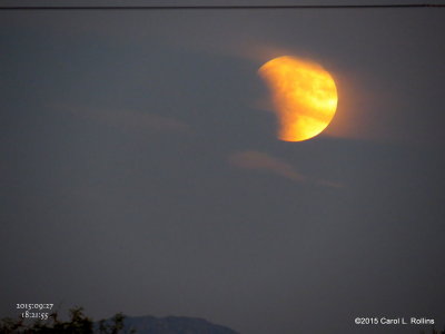 Full Moon/Blood Moon/Super Moon/Partial Eclipse    4454
