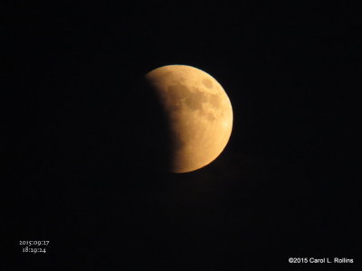 Full Moon/Blood Moon/Super Moon/Partial Eclipse     4479