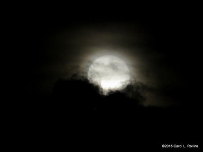 The Christmas Full Moon     IMG_1480