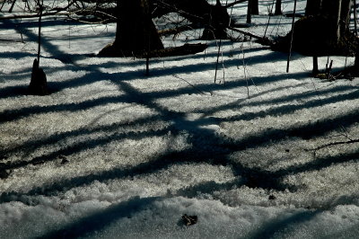 crosshatchpatch 0173.JPG