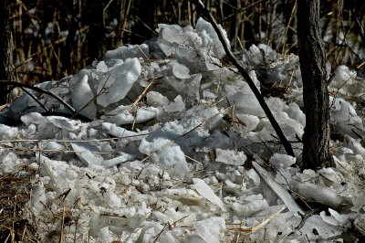 Snow and Ice 2015--Out of Town