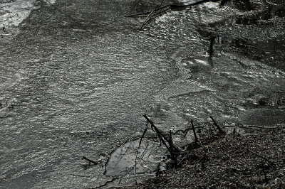 swirled world CORNWALL PART OF SALISBURY-CORNWALL SWAMP 0172.jpg