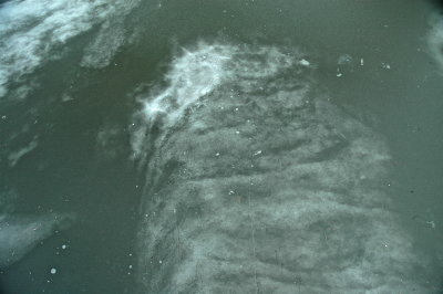 Snow and Ice 2015--Swamps and Waterways