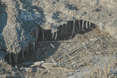 Snow and Ice 2015--VT Natural Ag