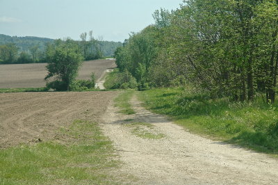 g9/15/766815/3/163740421.dQ1dEPAG.jpg