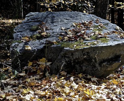 BRANDON 2015-10-19 4138.jpg