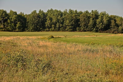 MIDDLEBURY 2015-9-16 1819.JPG