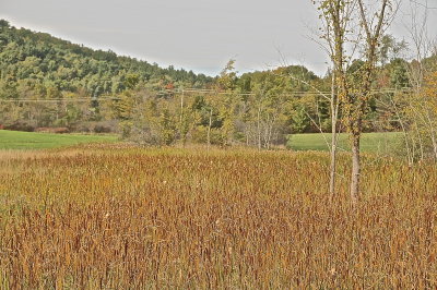 MIDDLEBURY 2015-10-1 14.JPG