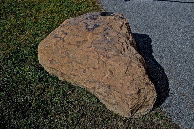 S BURL HS 2015-9-21 2318.JPG