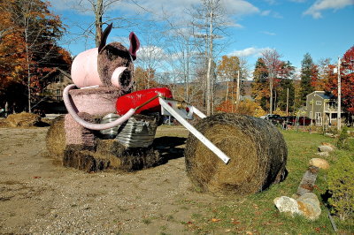 KLLGTN HAY 2010 57.JPG