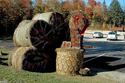 KLLGTN HAY 2010 63JPG.JPG
