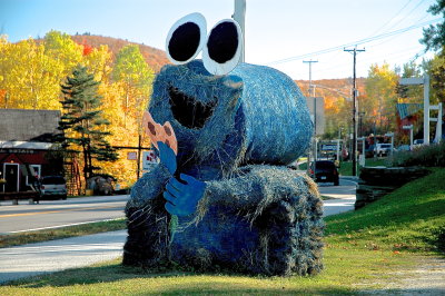 KLLGTN HAY 2010 94.JPG