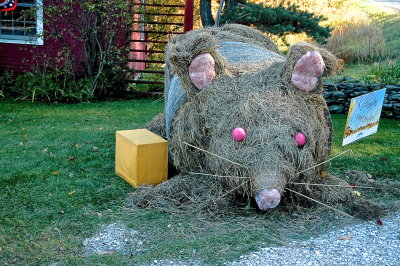 Killington Hay Bale Festival