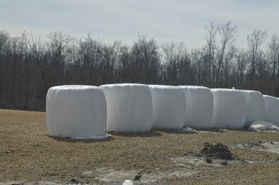 Wrapped Round Hay Bales.jpg