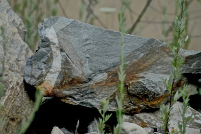 CARRARA 2015-8-29 322.jpg