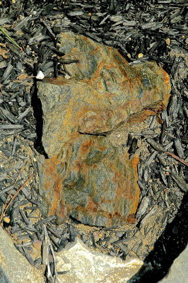 OVUHS 7-27-2015 339.jpg