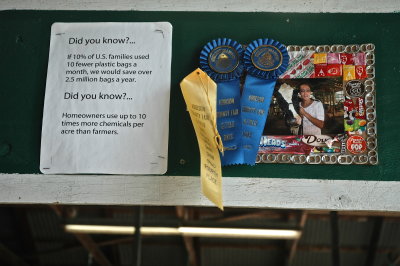 38 blue ribbons in the bag 8-8-09 240.jpg