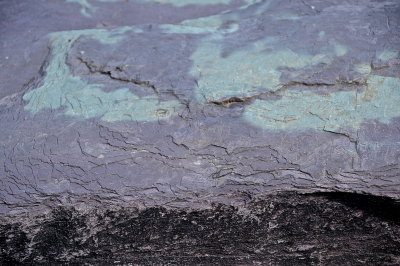 16 LK BOMOSEEN 8-14-2015 176 colors.JPG