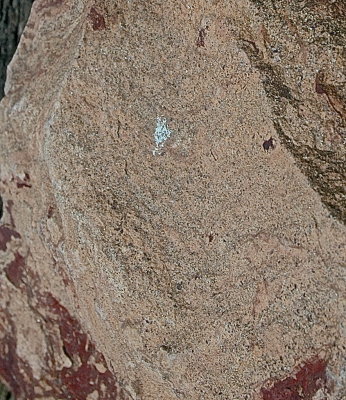 23 MNFC 2015-7-17  248 colors.jpg