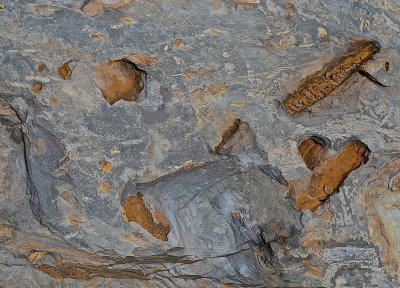 SHELBURNE 2015-9-21 1951 geol.JPG