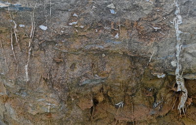 SHELBURNE 2015-9-21 1964 geol.JPG