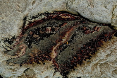 OVUHS 2015-7-27 174 on.jpg