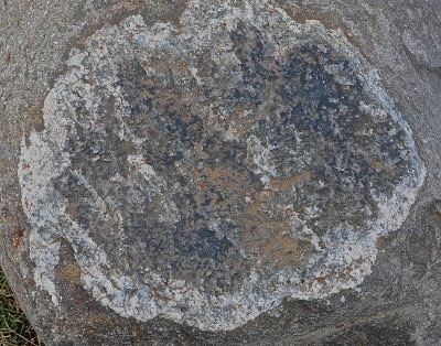 Boulder Closeups--Adornments