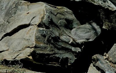 SALISBURY 2015-7-24 378 shapes.JPG